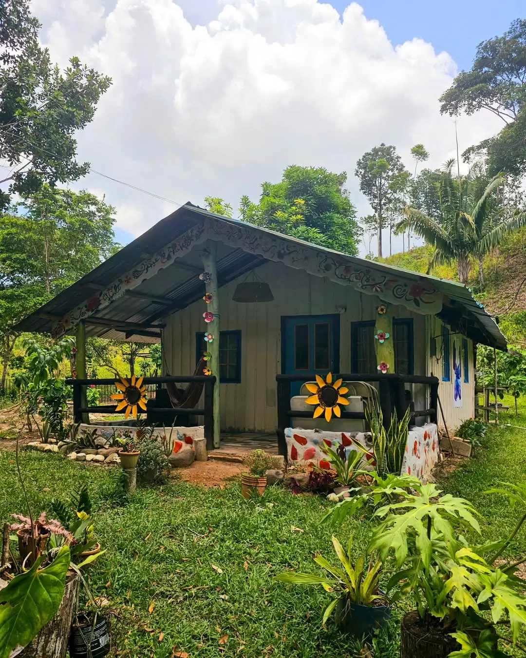 sustainable modern wooden finca architecture nestled in lush green coffee plantation with mist covering the background mountains